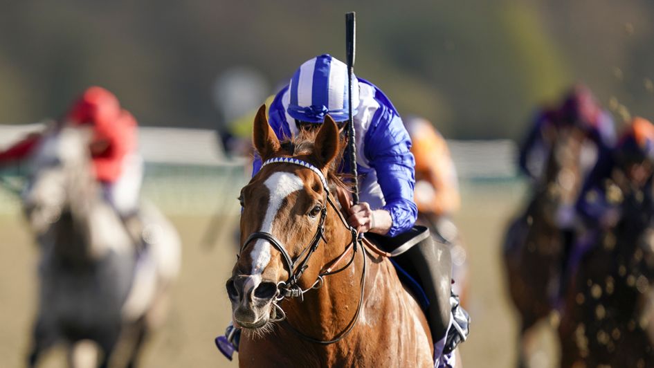 It's all very straightforward for Khuzaam