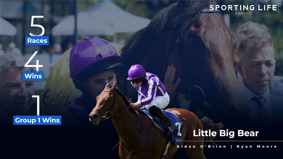 Little Big Bear in numbers