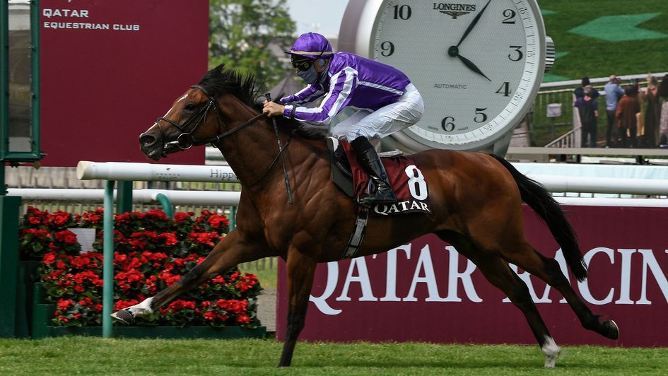 Prix Du Jockey Club Report And Reaction St Mark S Basilica Wins In Style At Chantilly