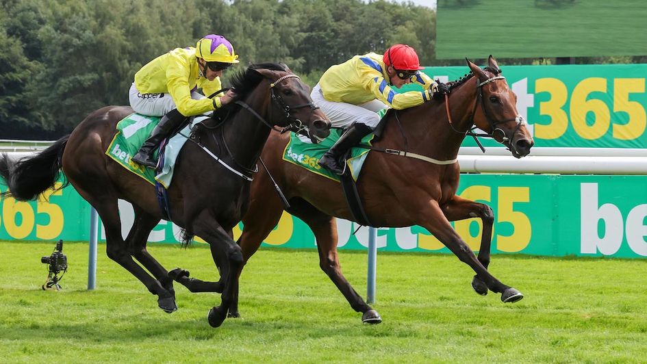 Poptronic beats Sea Silk Road at Haydock (Grossick Photography/The Jockey Club)