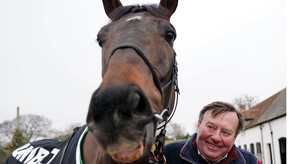 Constitution Hill and Nicky Henderson face the cameras