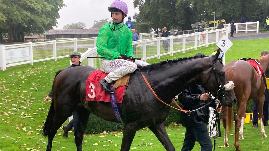 Dambuster under Oisin Murphy