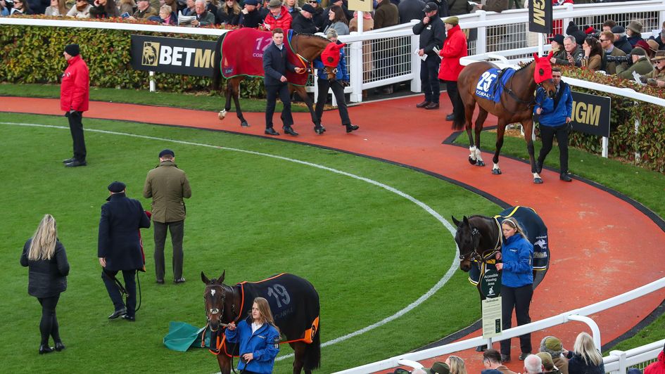 Horses parade at the 2025 Cheltenham Festival