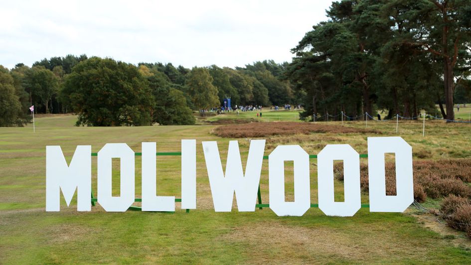 Tommy Fleetwood and Francesco Molinari both make the staking plan