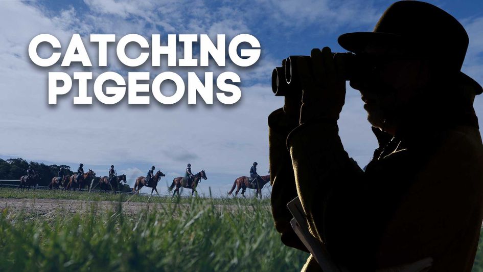 Get all the latest whispers from the major training centres