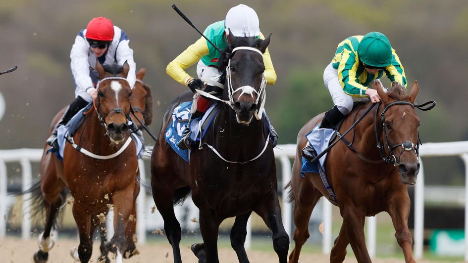 Salamanca comes out on top