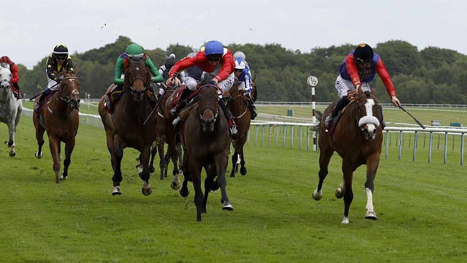 King's Lynn wins the Temple Stakes