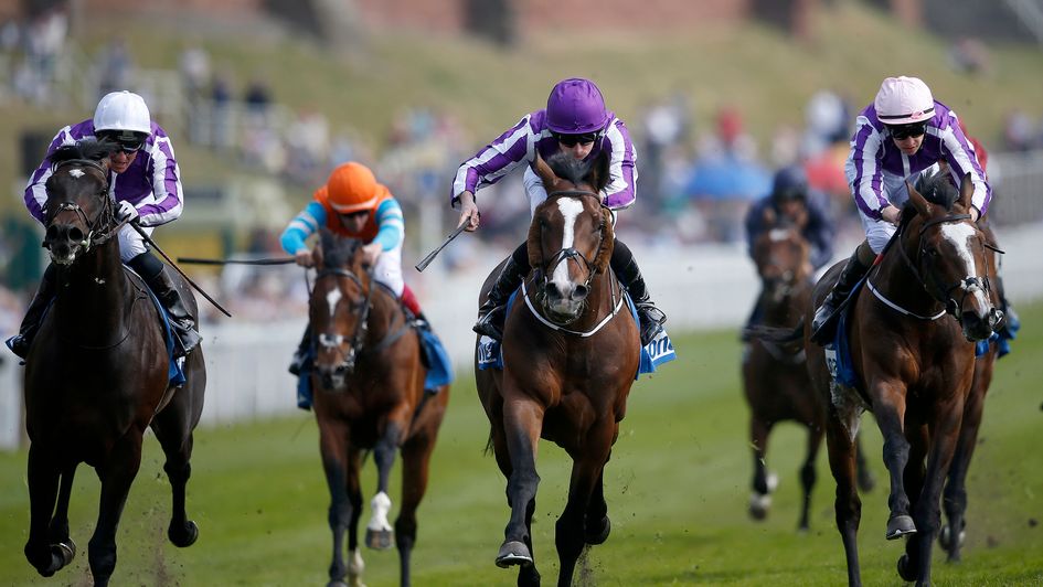 Venice Beach wins at Chester