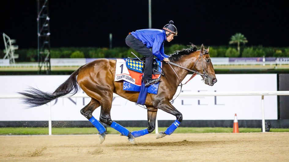 Country Grammar (Dubai Racing Club, Liesl King)