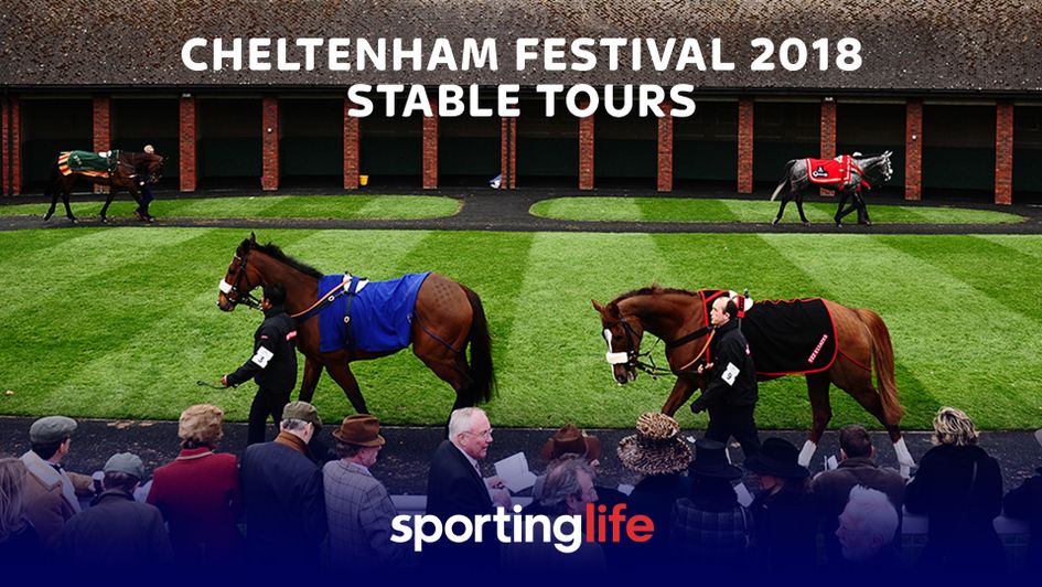 Cheltenham is around the corner...