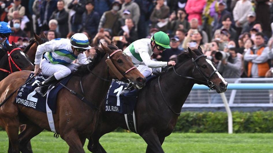 Voyage Bubble (near side) lands a second HK Mile