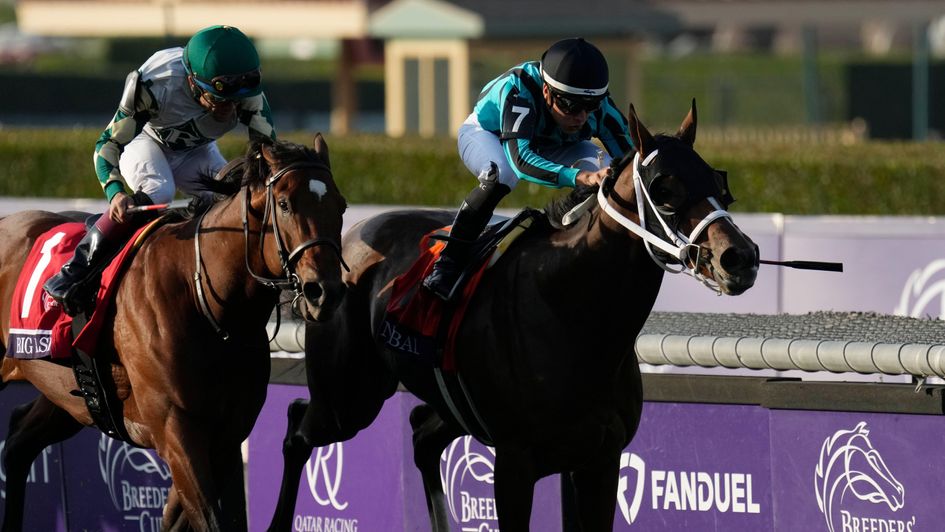 Nobals (right) wins the Turf Sprint