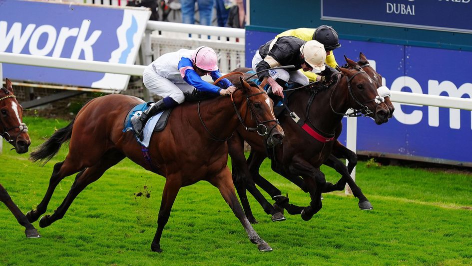 Alfa Kellenic in winning action at York