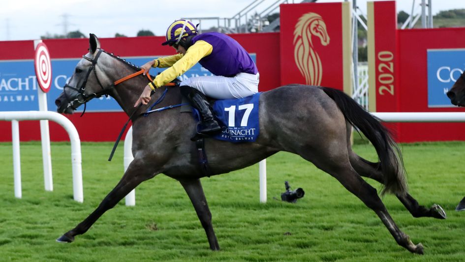 Princess Zoe lands the feature at Galway
