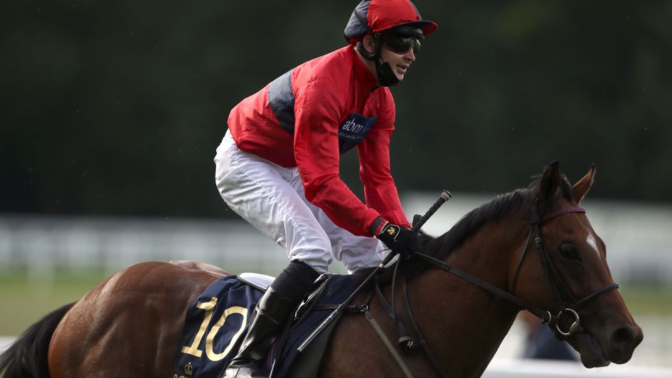 Windsor Castle winner Chipotle