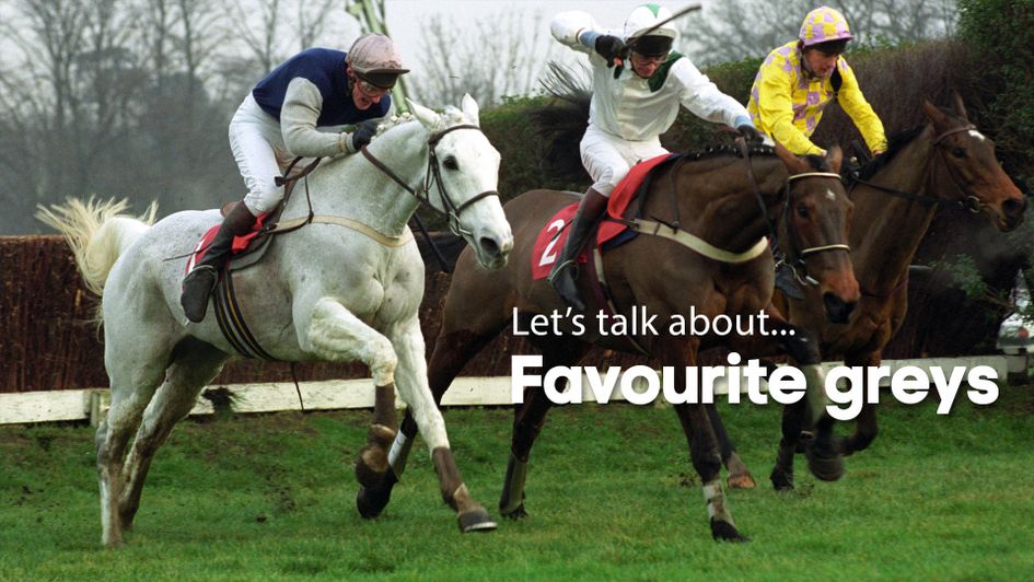 Desert Orchid: The greatest of the greys