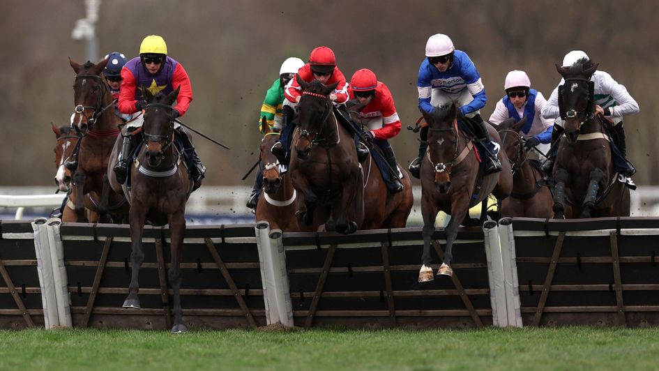 Crambo is buried amongst the Long Walk field