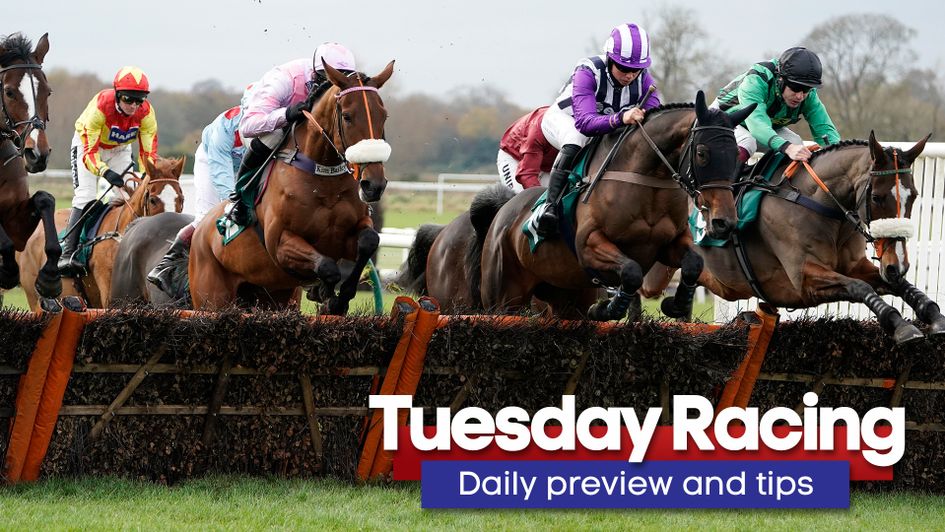 Check out Tuesday's racing preview