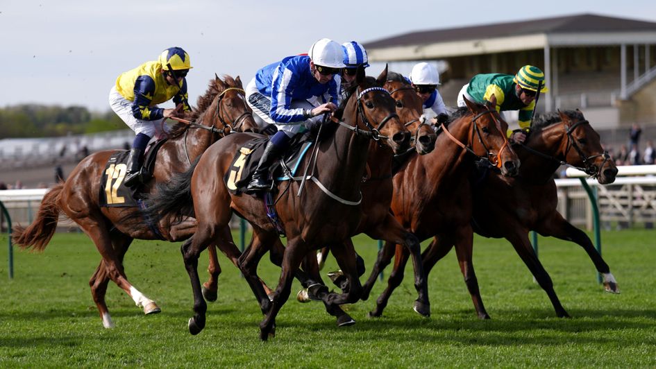 Darn Hot Gallop sweeps to victory at Newmarket