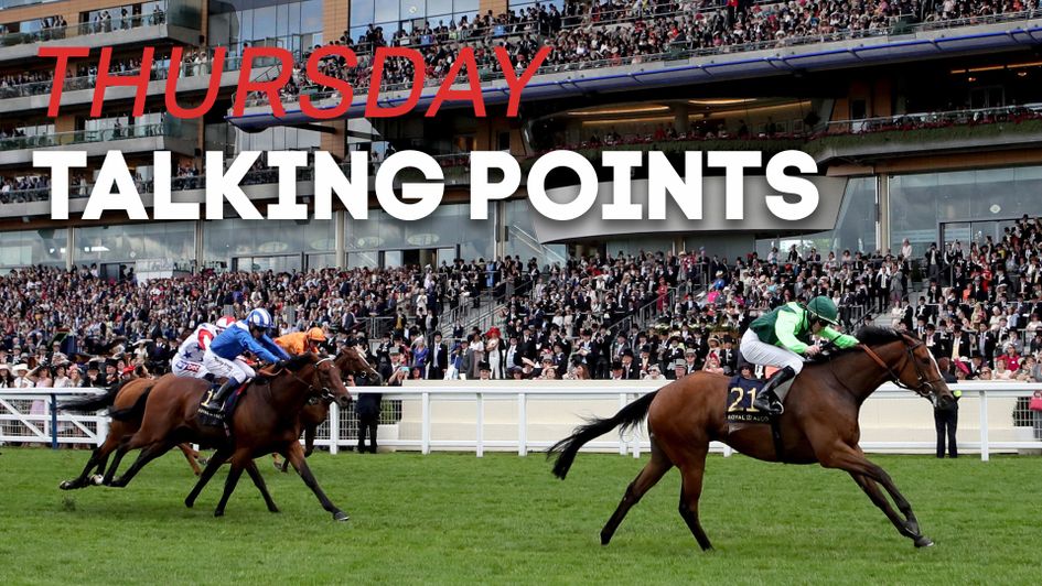 Settle For Bay returns to action on Thursday