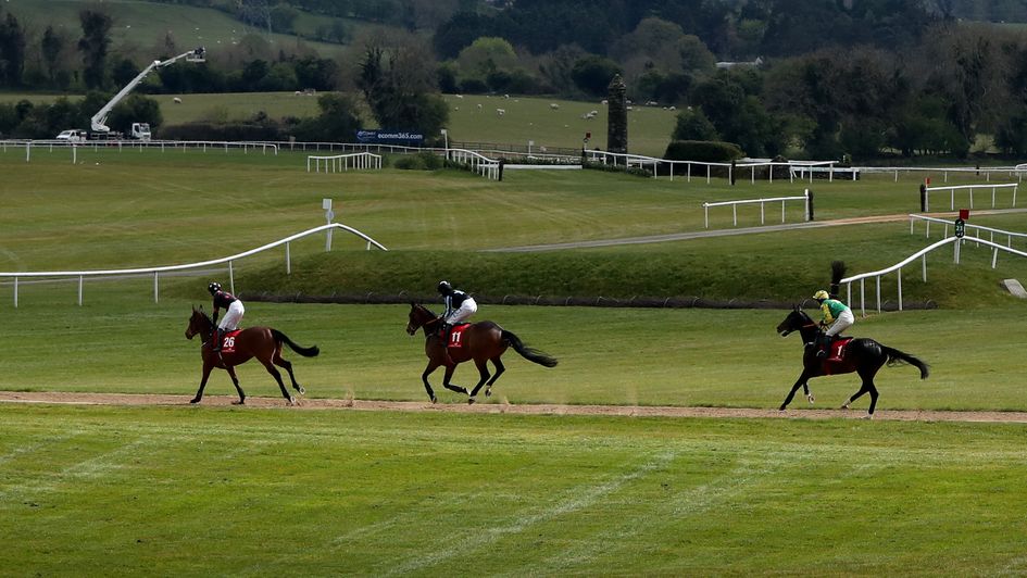 Get the latest from Punchestown