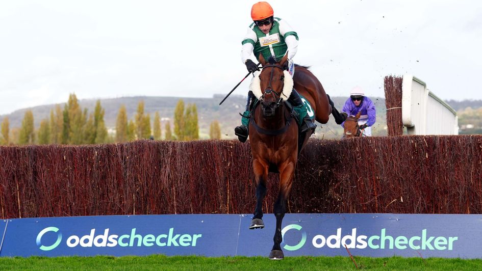 Calico is in complete control at Cheltenham