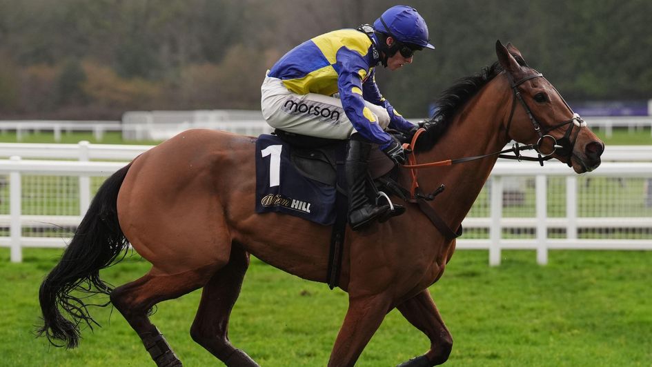 Tutti Quanti is a remarkable winner of the William Hill Hurdle