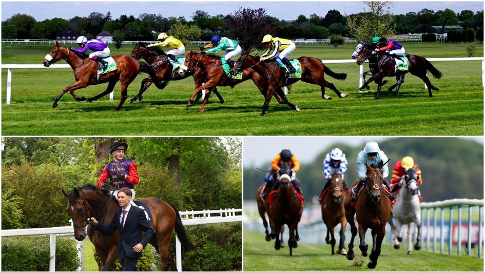 Equity Law, Gilded Water and English Oak are on the radar for Royal Ascot