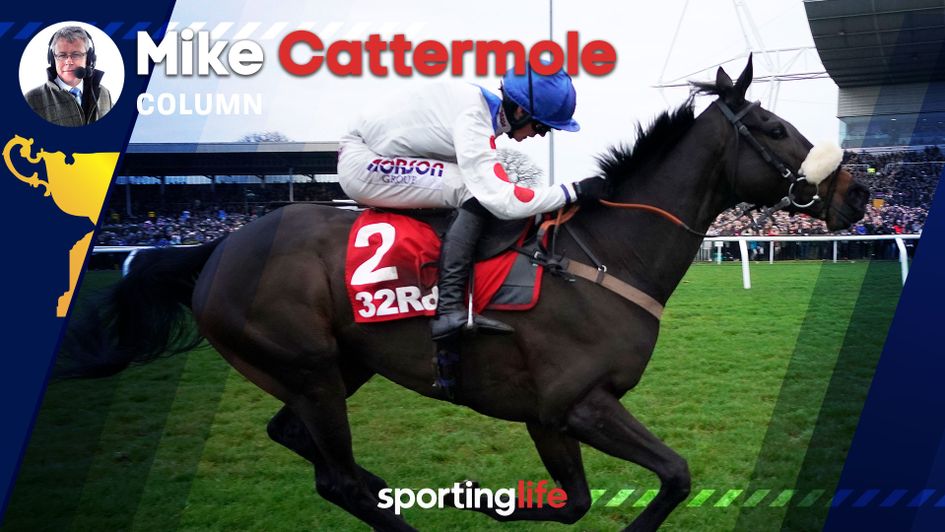 Mike Cattermole preview for day four of Cheltenham