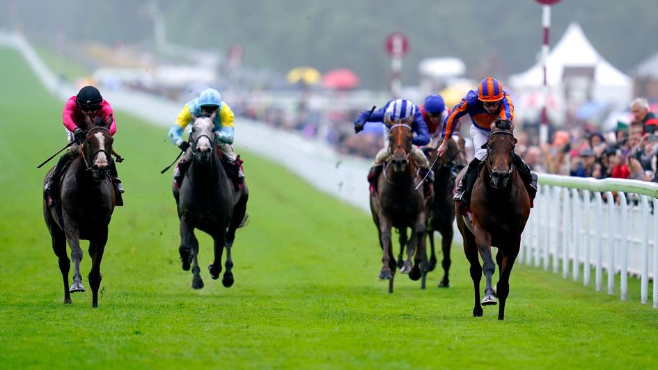Paddington makes it six in a row in the Sussex Stakes