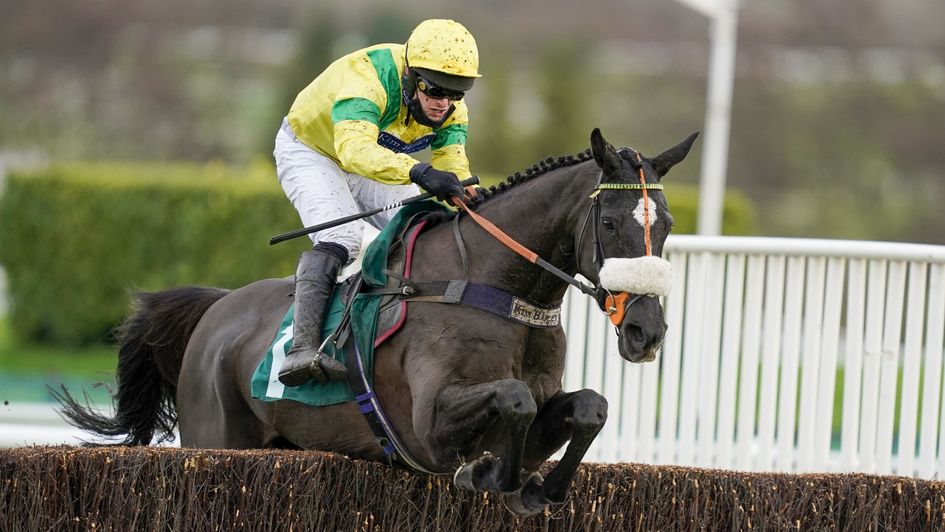 Happygolucky wins at Cheltenham