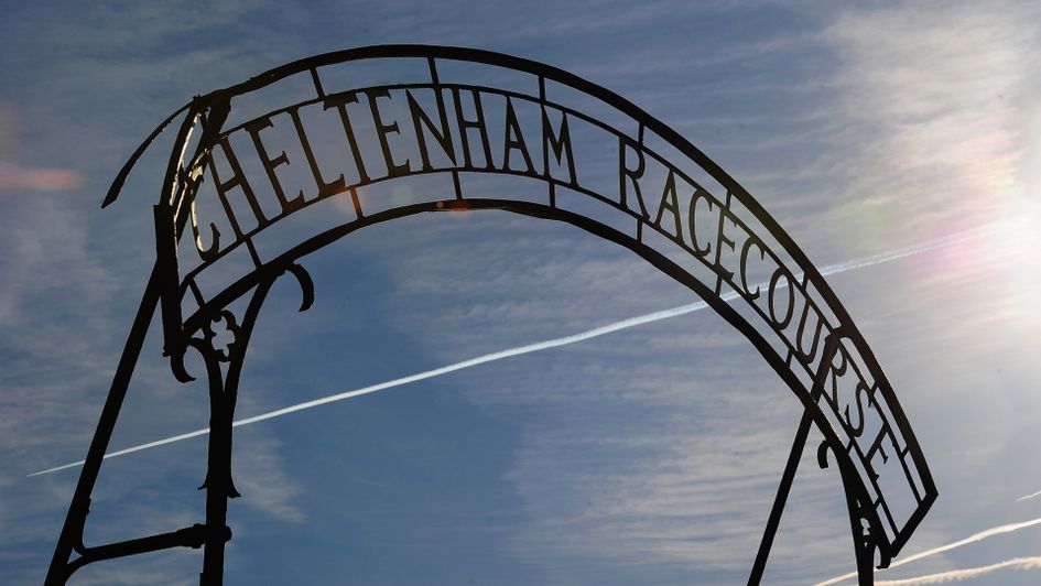 Cheltenham's November Meeting starts on Friday
