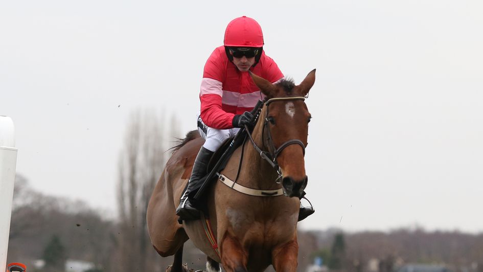 Laurina - disappointing in the Champion Hurdle