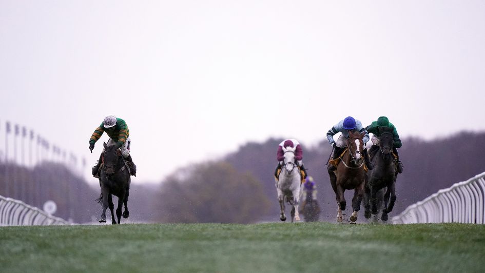 Epatante and Not So Sleepy dead-heat at Newcastle