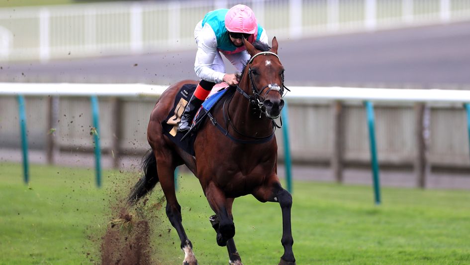 Derab wins at Newmarket