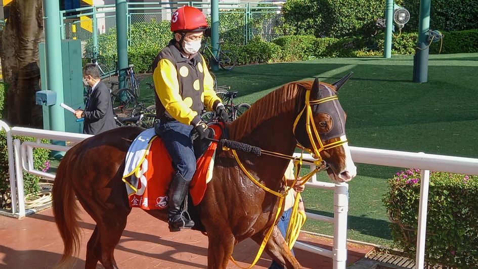 Jack d'Or - worthy challenger