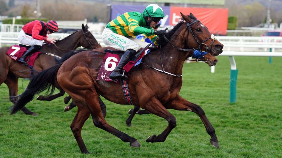 Puturhandstogether winning at Cheltenham