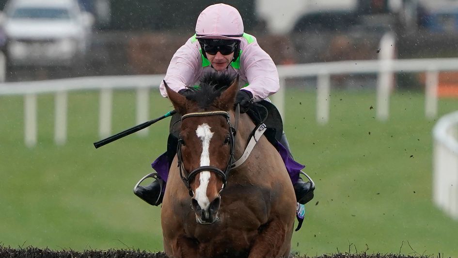 Faugheen raises the roof at Leopardstown