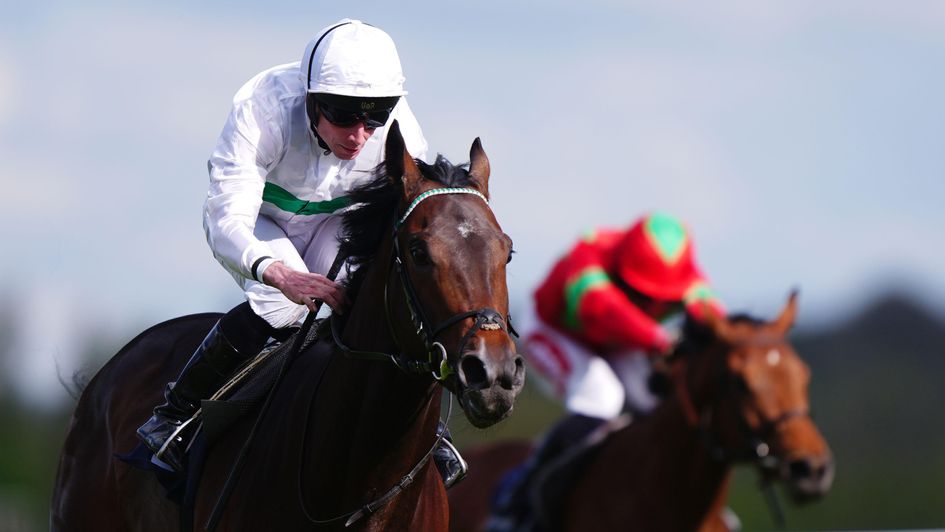 Water To Wine makes a winning debut under Ryan Moore