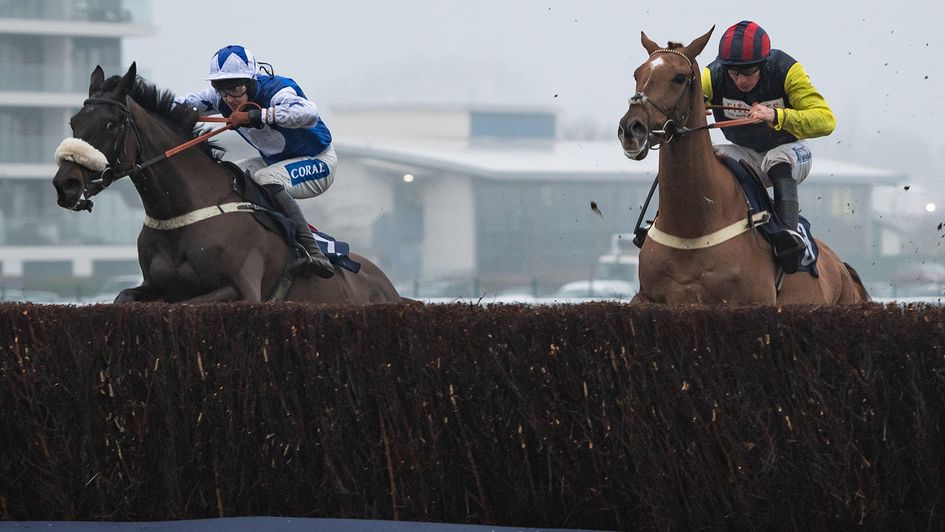 Lord of Thunder (left) won at Newbury on Saturday