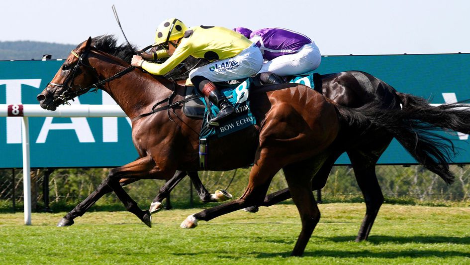 Bow Echo - retired after unbeaten career