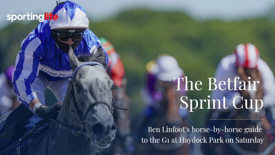 Art Power can bounce back in the Betfair Sprint Cup