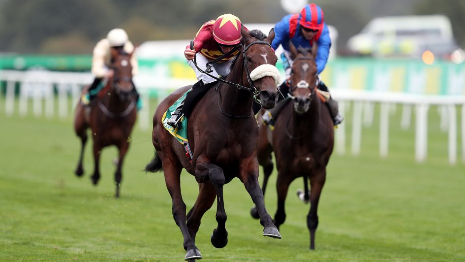 Pista is in the clear at Doncaster