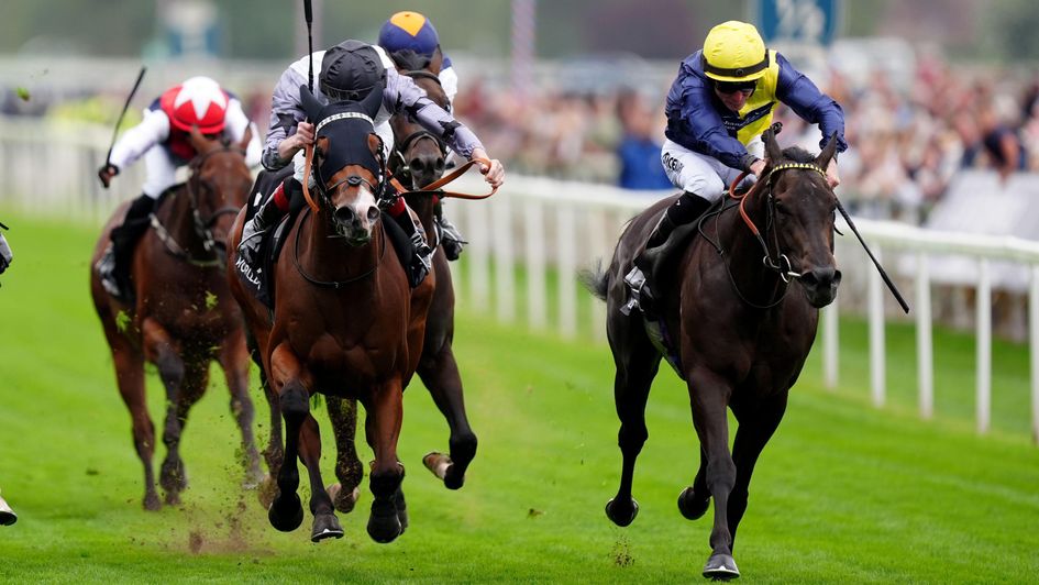 Trefor (right) - wins the first race of the Sky Bet Ebor Festival
