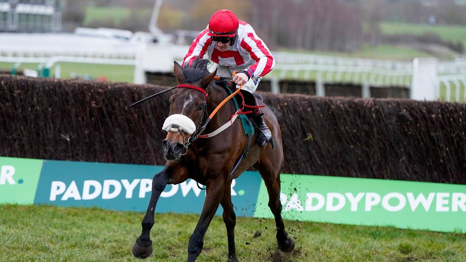 The Real Whacker comes home clear at Cheltenham
