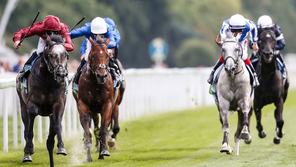 Thundering Blue (far right)