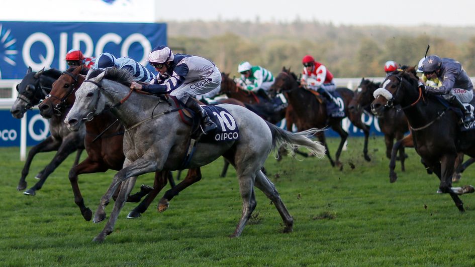 Lord Glitters (grey) wins the Balmoral Handicap