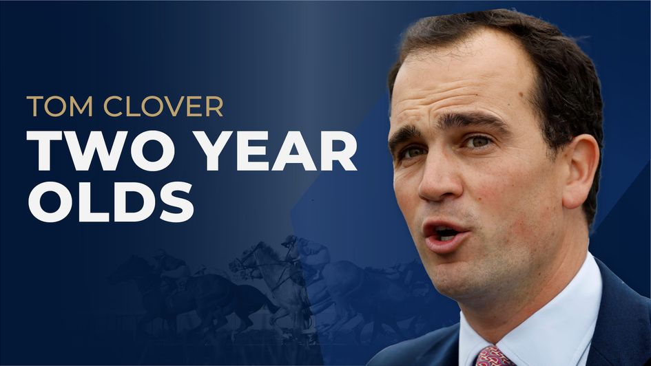 Tom Clover on his juvenile horses for 2024