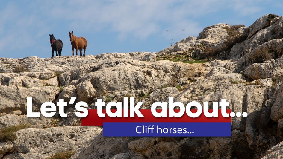 We've all followed a horse over a cliff... haven't we?