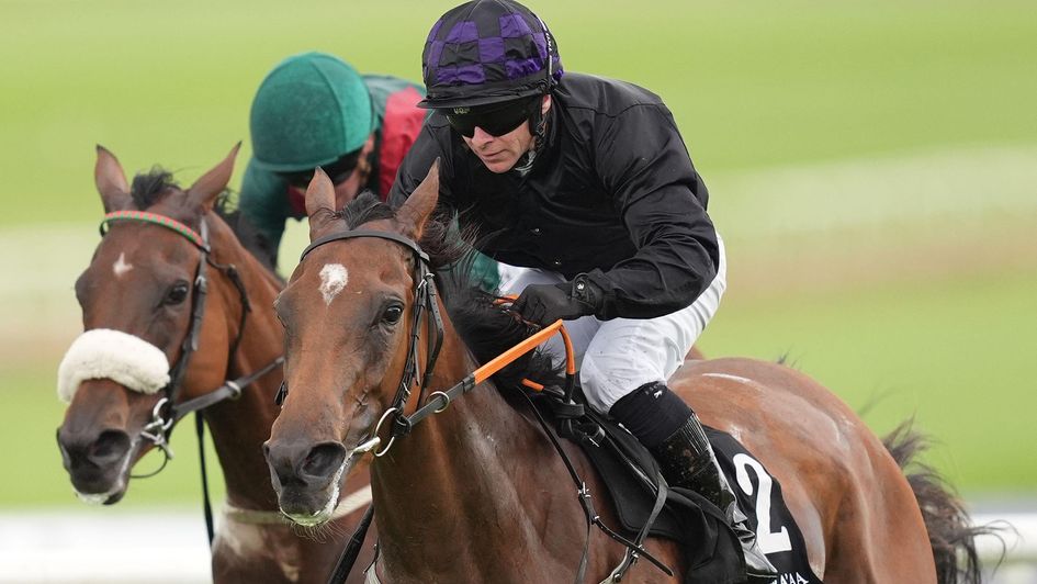 One Look, ridden by jockey Wayne Lordan, wins at the Curragh